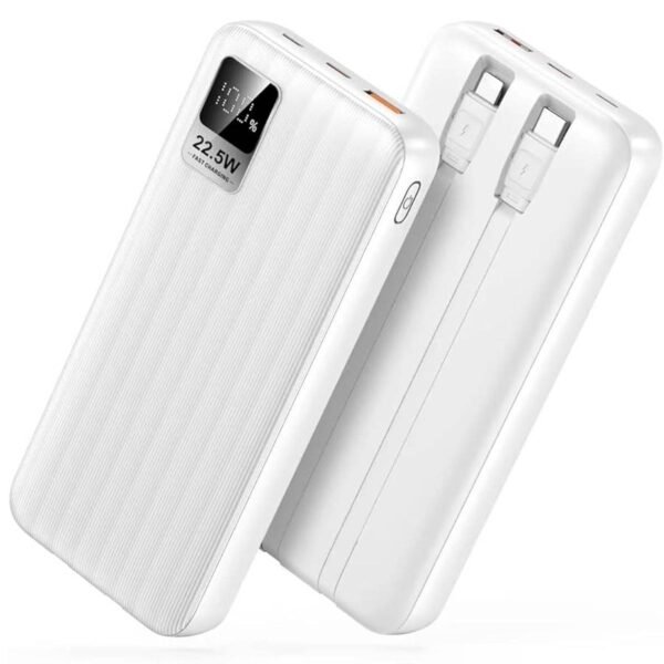 Dany Flash F-10 10000mAh Digital Display Power Bank